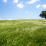 Les éthylotests usagés dangereux pour l’environnement